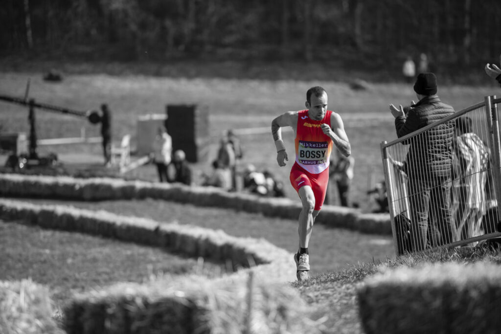 24 the bossy system tag foto capçalera jm